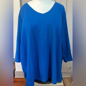 Women's Blue V-Neck Top